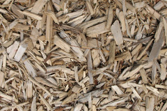 biomass boilers Authorpe